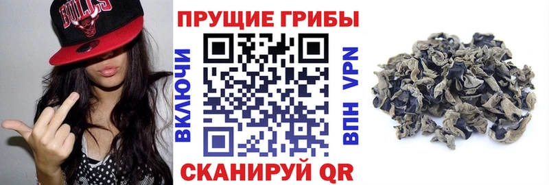 Галлюциногенные грибы прущие грибы  где продают   Ак-Довурак 